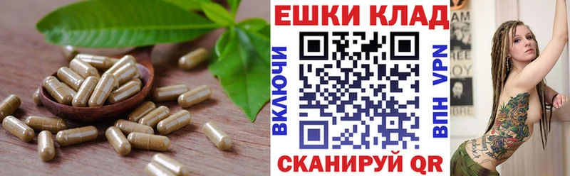 ОМГ ОМГ зеркало  Бузулук  Ecstasy 300 mg 