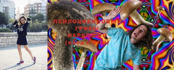 2c-b Белоозёрский