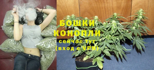 ALPHA-PVP Белокуриха