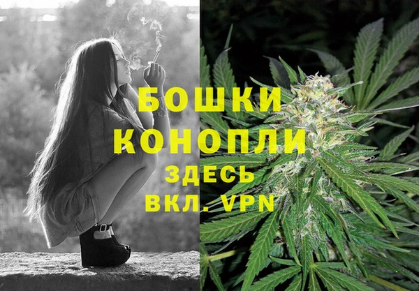 2c-b Белоозёрский