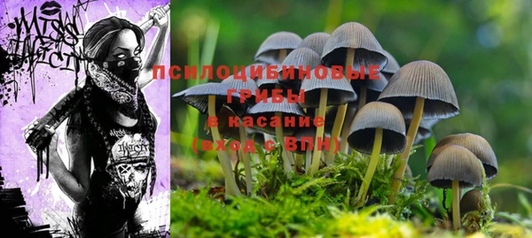 наркотики Беломорск