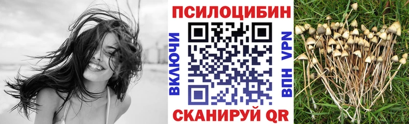 Псилоцибиновые грибы Psilocybine cubensis  Бузулук 