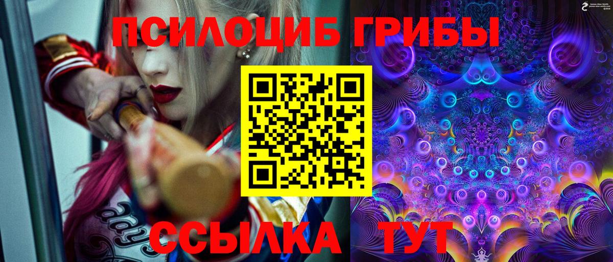 Бузулук  Галлюциногенные грибы Psilocybe  Вход с VPN 
