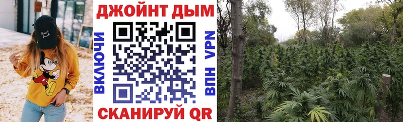 blacksprut Бузулук Конопля THC 21%
